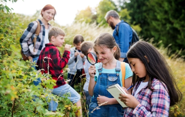 Naturaliza